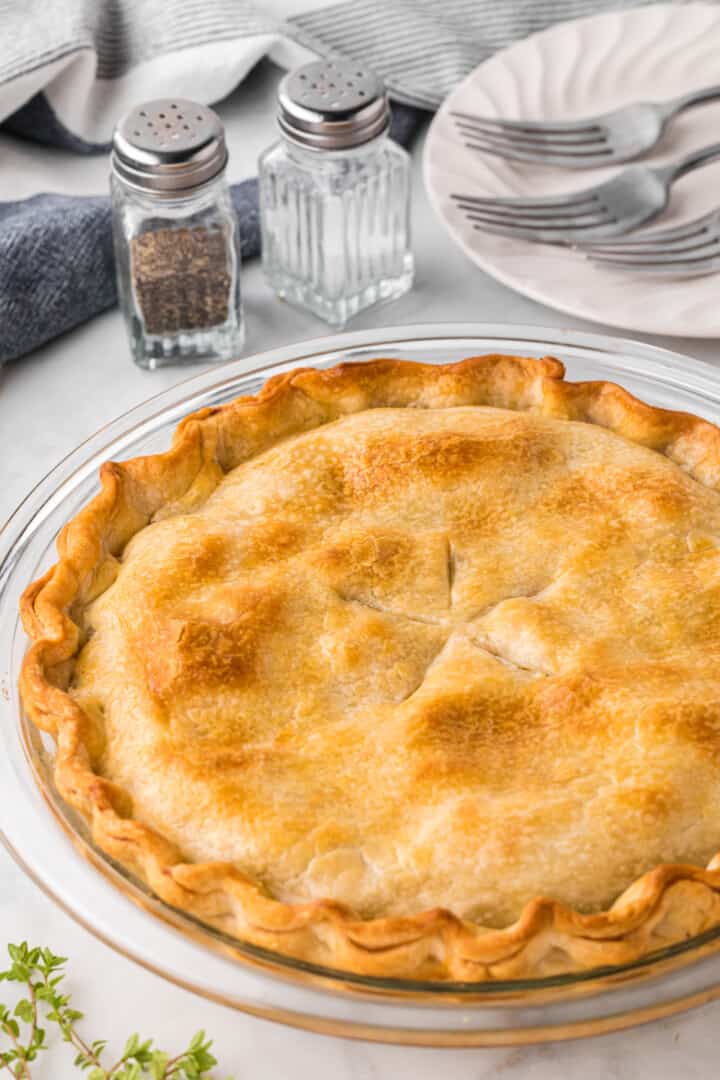 perfectly baked turkey pot pie.