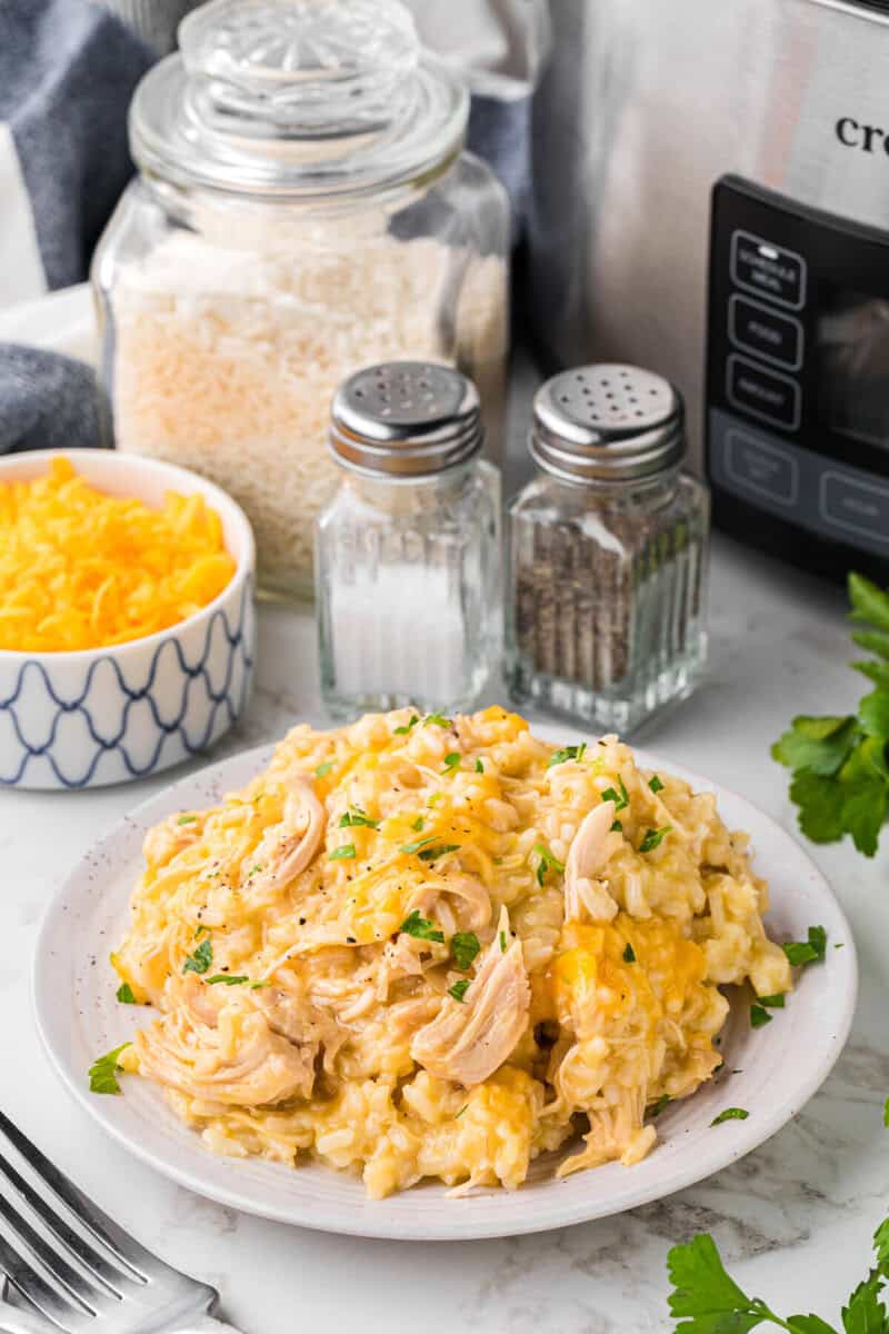chicken and rice casserole on white plate.
