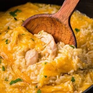 Slow Cooker Chicken and Rice Casserole