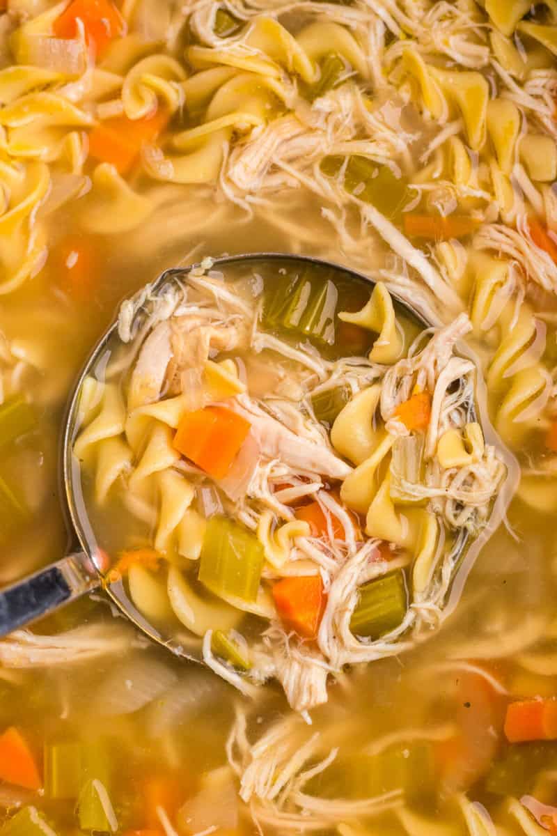 closeup of the chicken noodle soup being served with a metal ladle.
