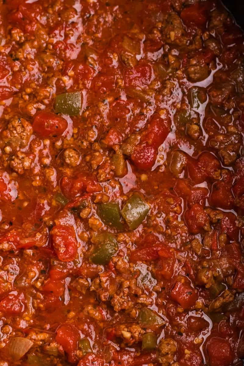 closeup of the spaghetti sauce.