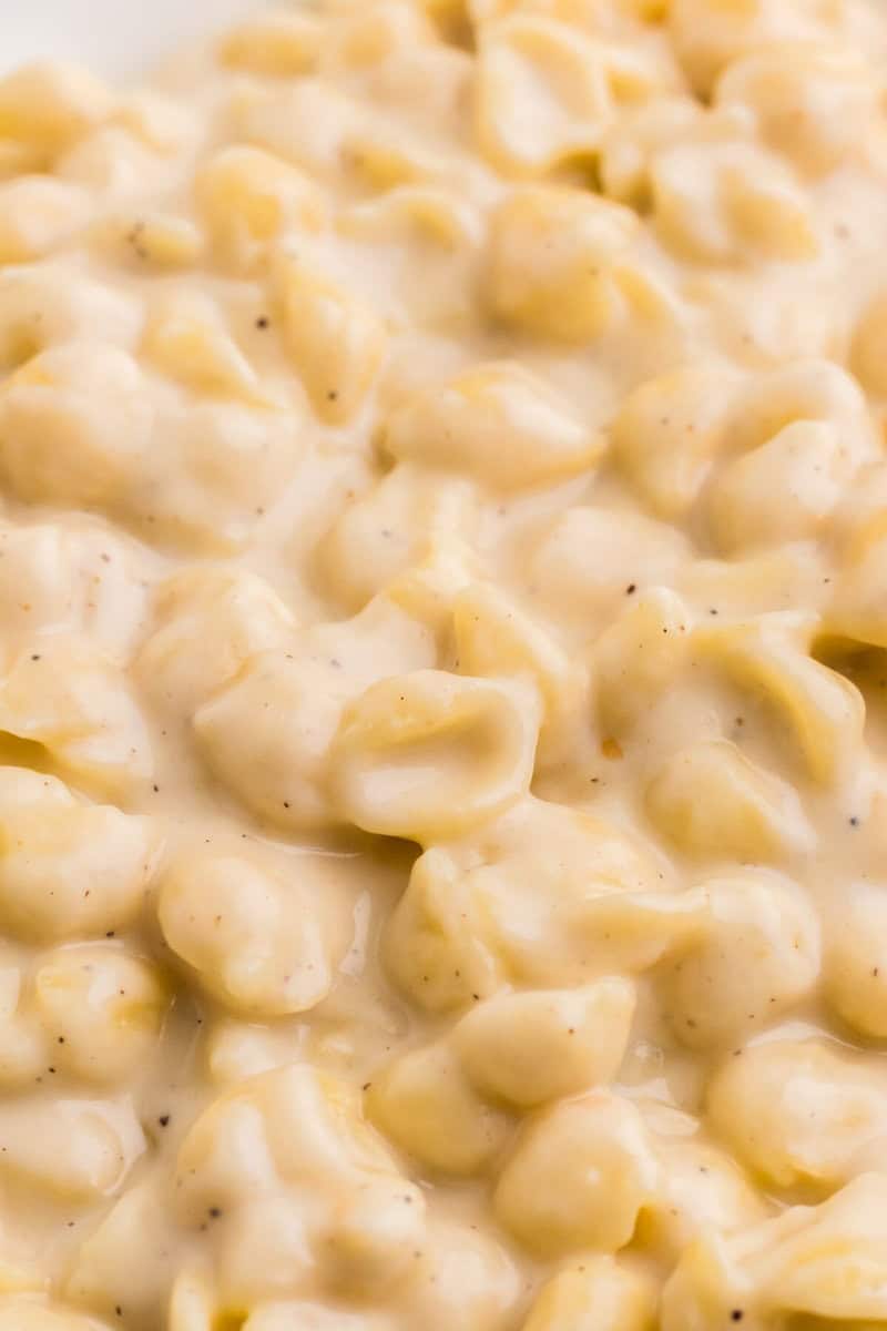 closeup of the mac and cheese.