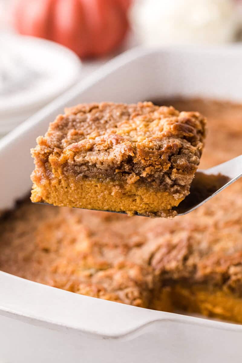 serving a slice of the pumpkin spice cake.