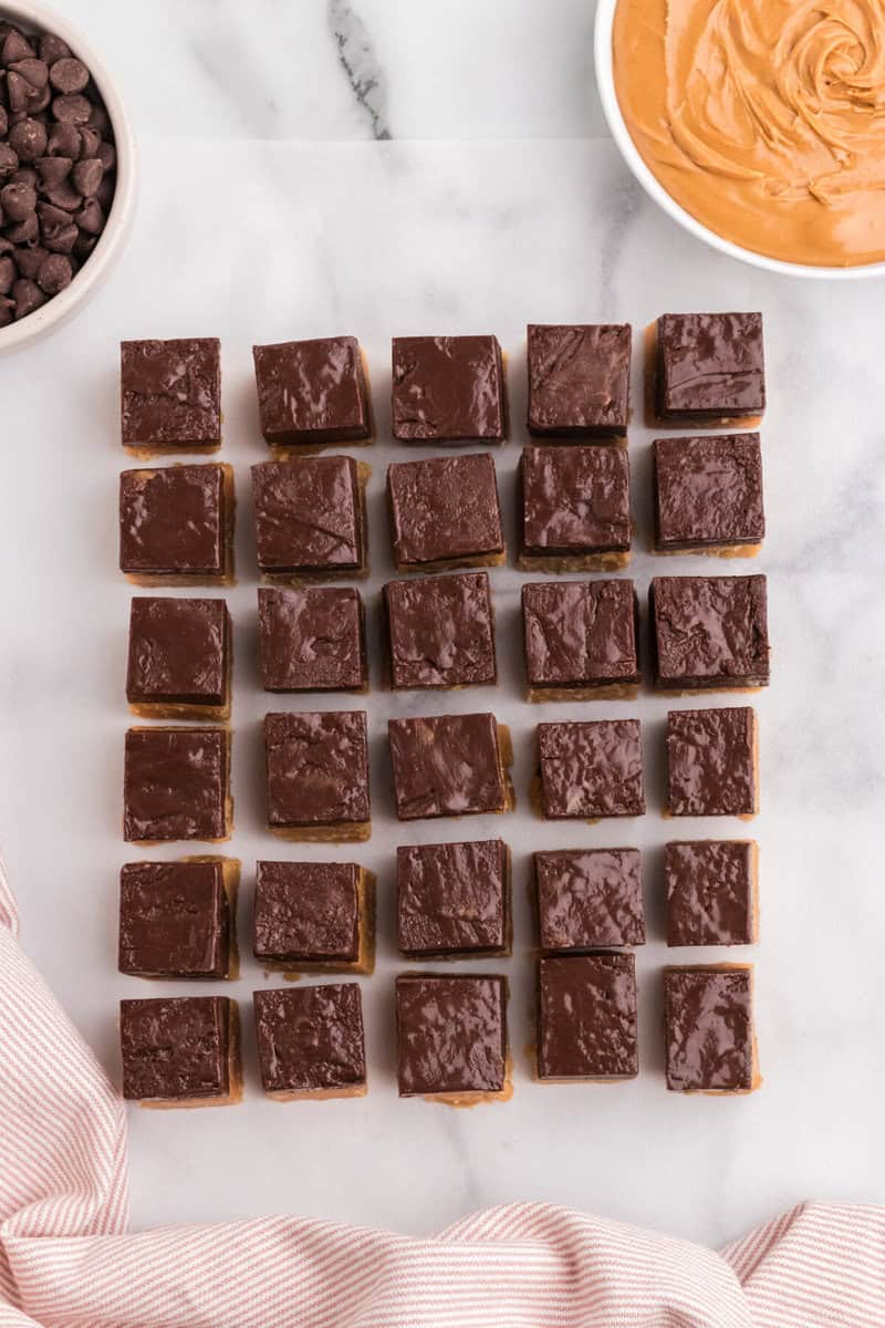 squares of the fudge lined up.