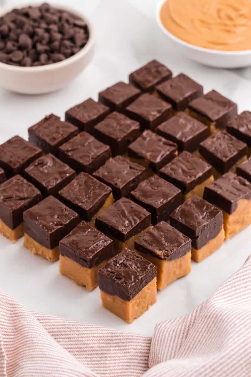 closeup of pieces of the fudge lined up.