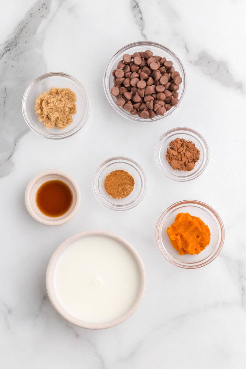ingredients for the pumpkin spice hot chocolate.