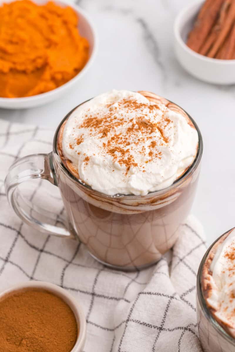 closeup of the hot chocolate topped with whipped cream and pumpkin pie spice.