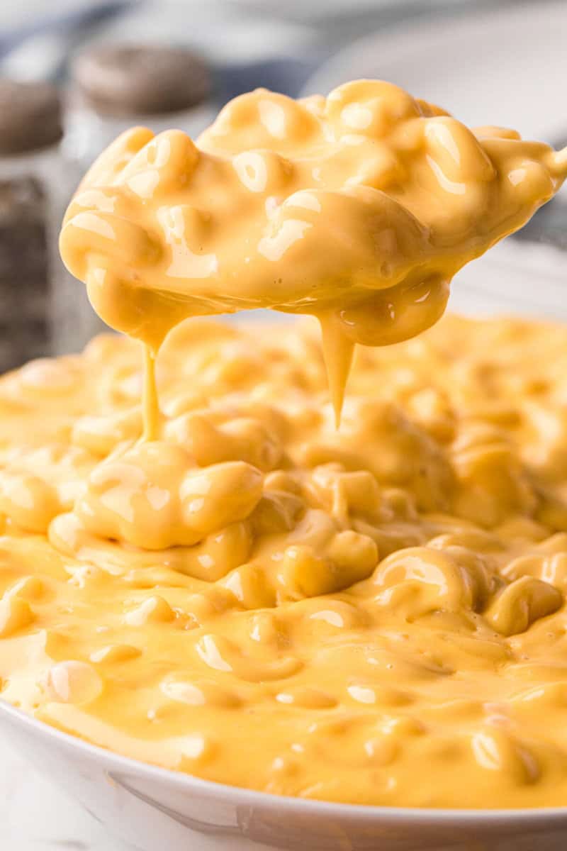 closeup of Velveeta Mac and Cheese on a spoon.
