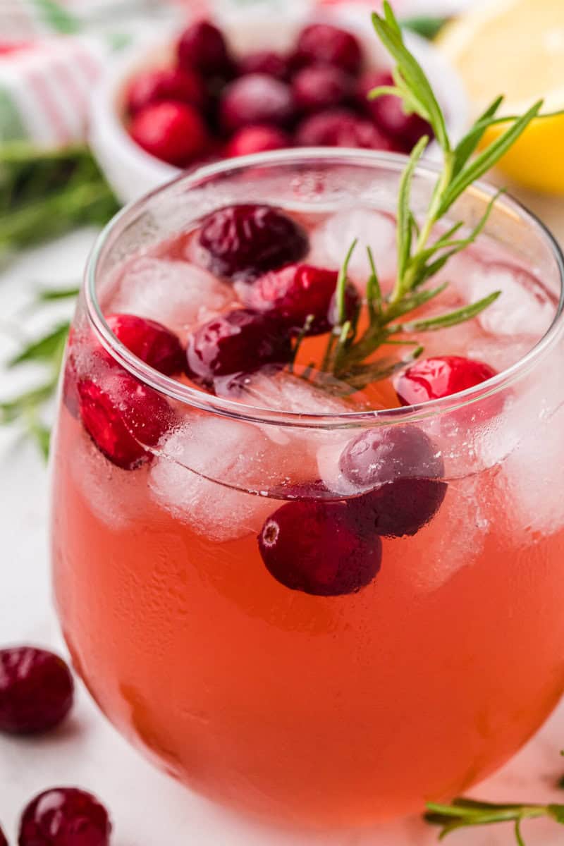Christmas Punch in a glass with cranberries in it.