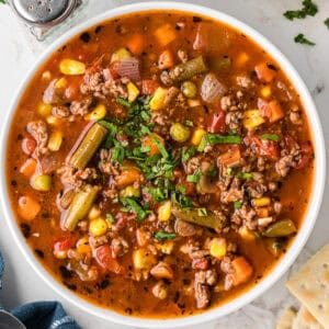Vegetable Beef Soup