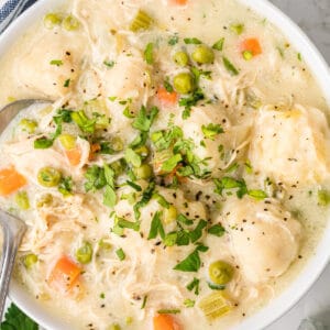 Chicken Dumpling Soup