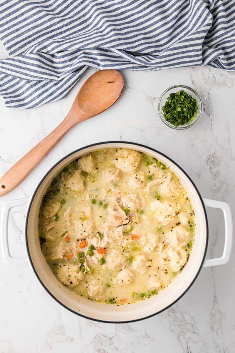 finished Chicken Dumpling Soup in the stock pot.