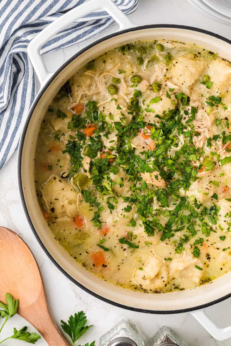 Chicken Dumpling Soup topped with parsley.