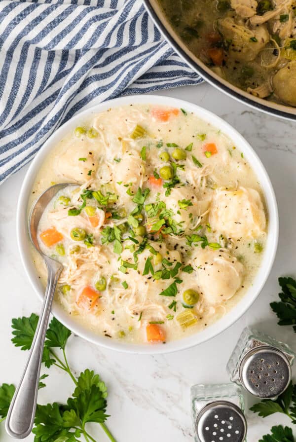 Chicken Dumpling Soup