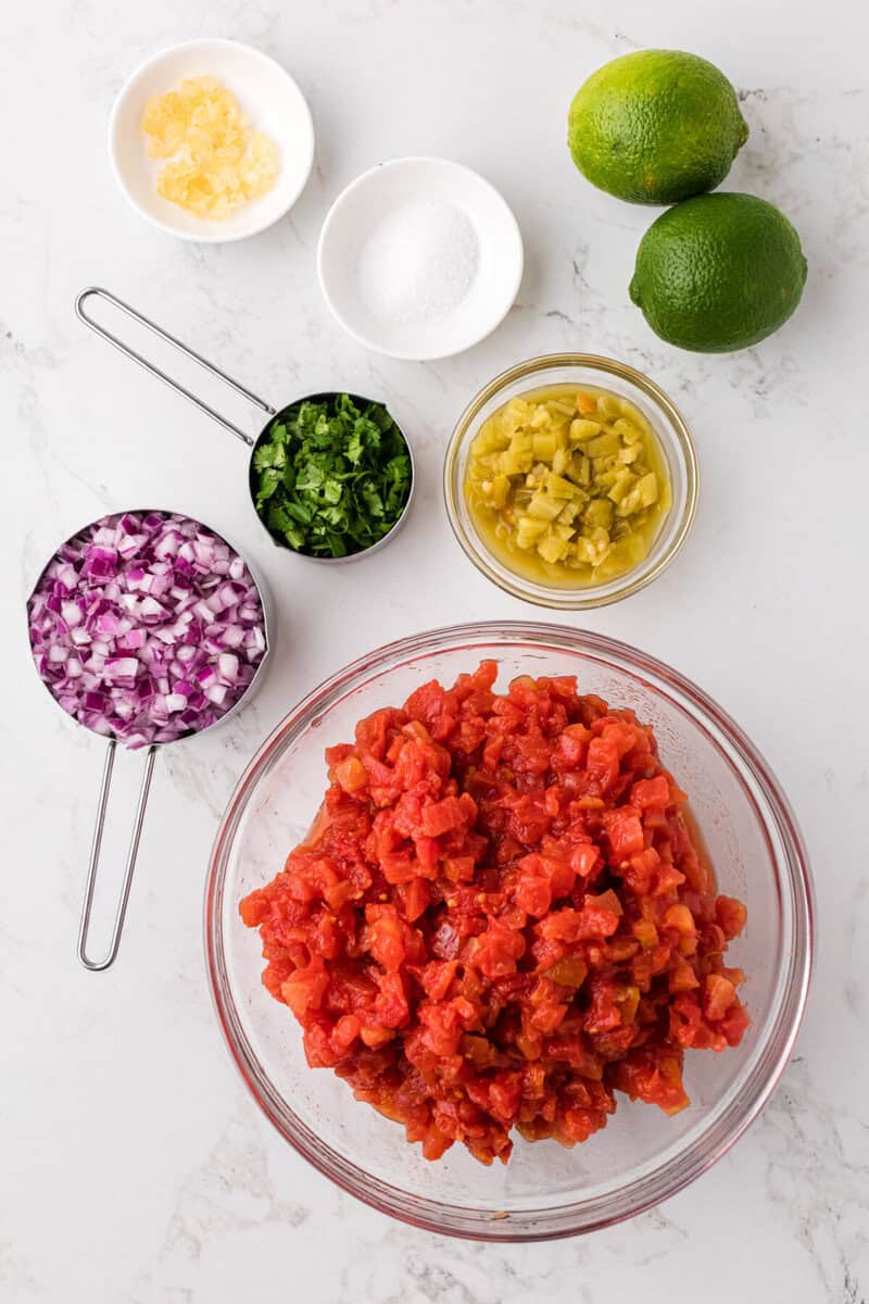 ingredients for the homemade salsa.