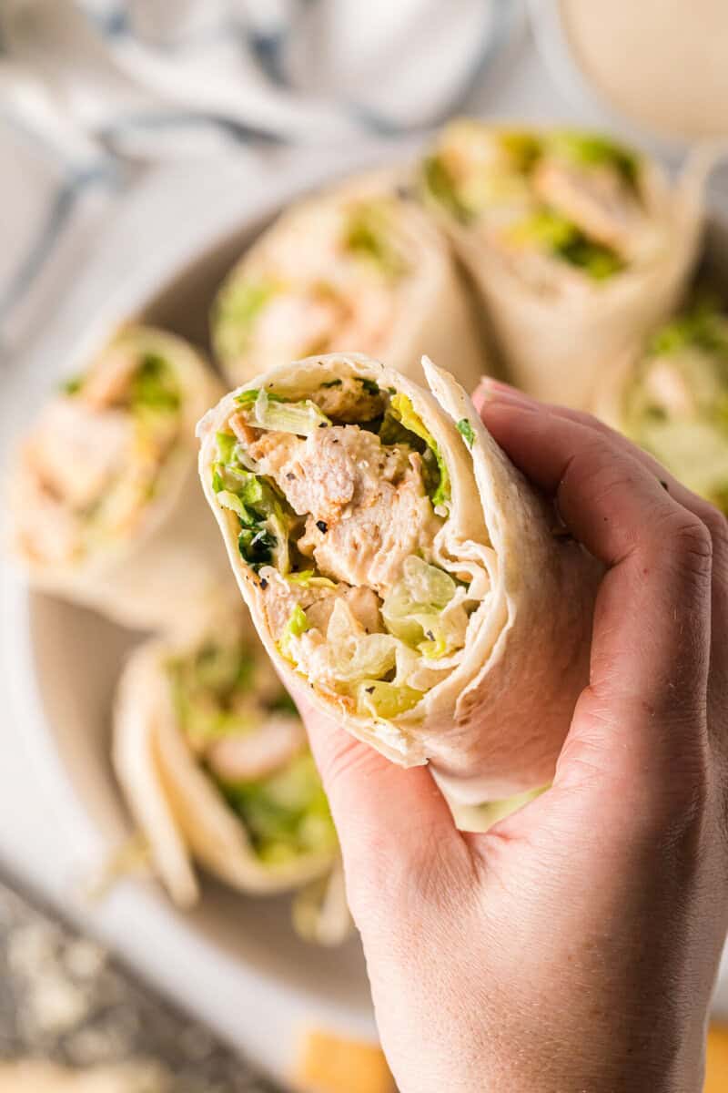 Chicken Ceasar Wrap closeup in hand.