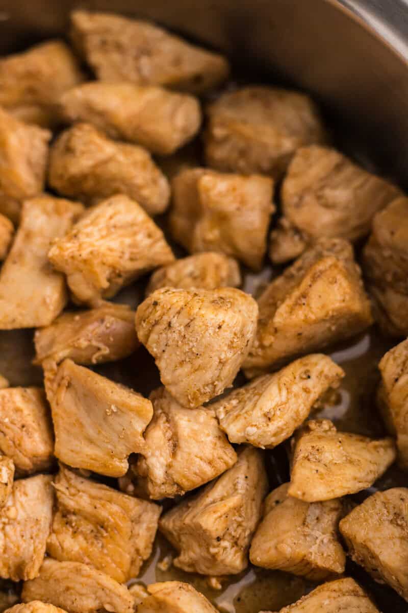chicken seasoned with the homemade taco seasoning.