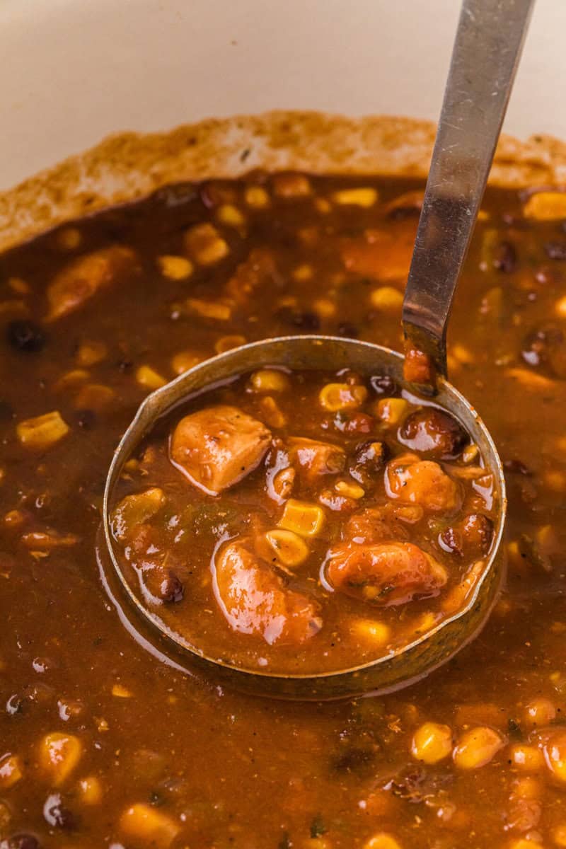 closeup of serving the soup with a ladle.