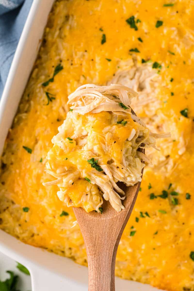 serving the chicken and rice casserole with a wooden spoon.