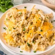 chicken and rice casserole on a white plate