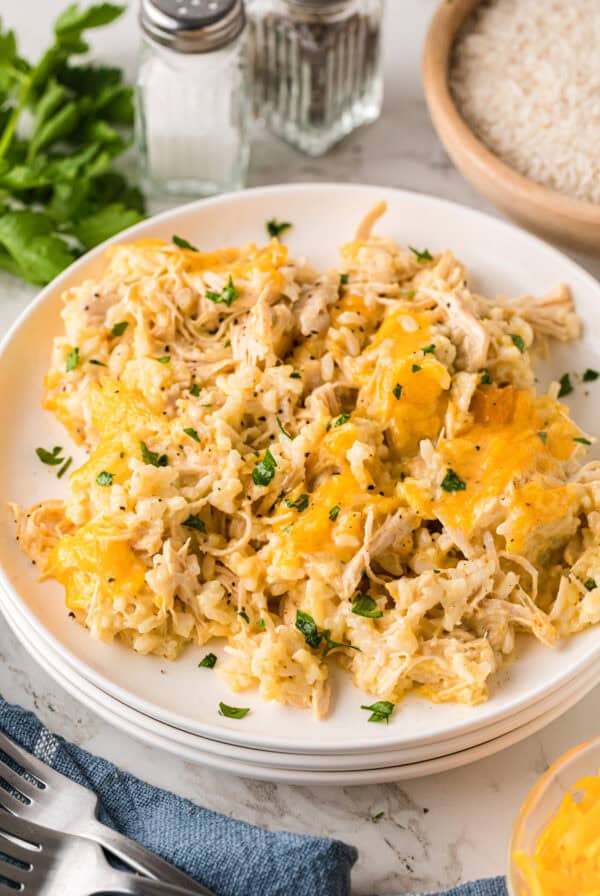 chicken and rice casserole on a white plate