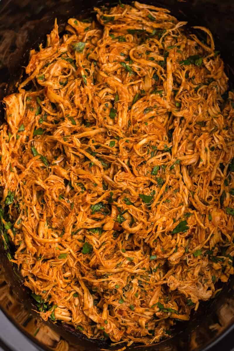 closeup of the shredded cilantro lime chicken in the slow cooker.
