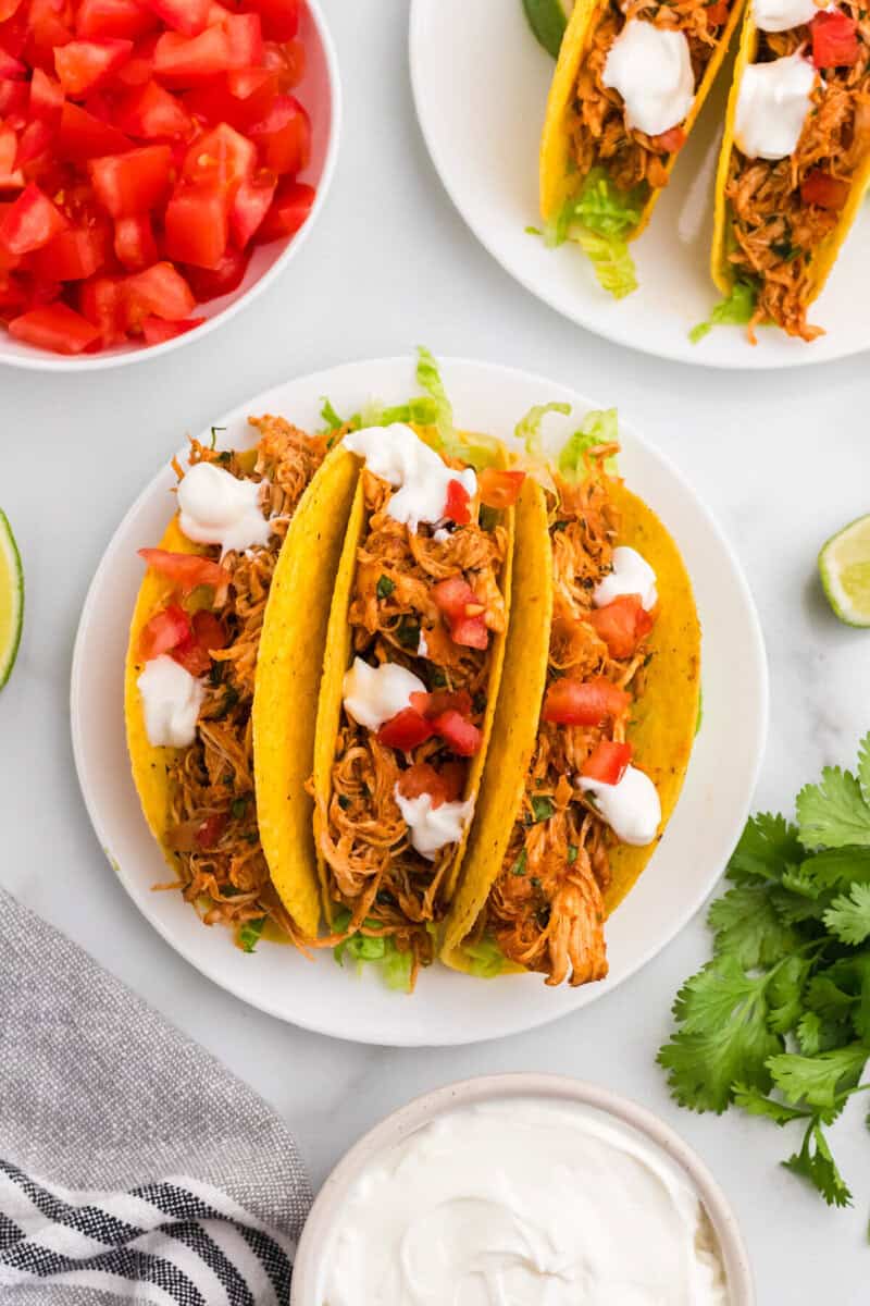 top-down view of the Cilantro Lime Tacos on a white plate.