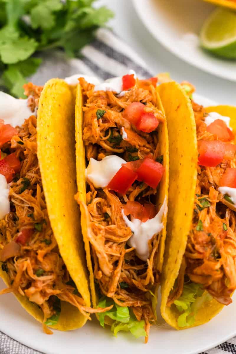 closeup of the cilantro lime tacos.