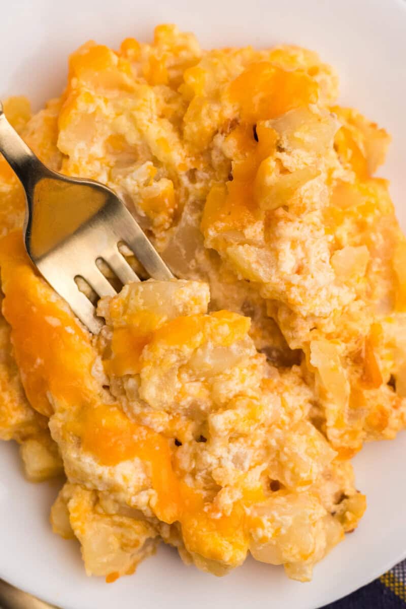 closeup of the Cheesy Potato Casserole with a fork.