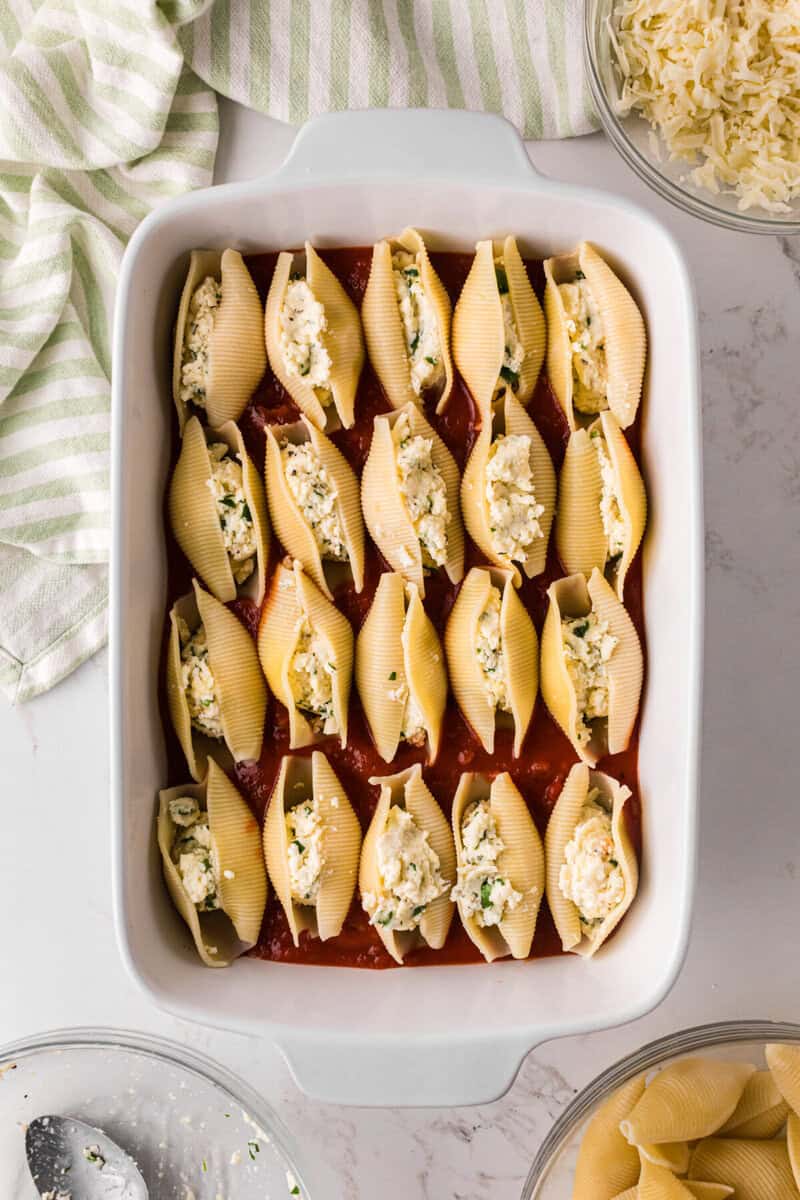 Stuffed Shells in the baking dish on top of the sauce.