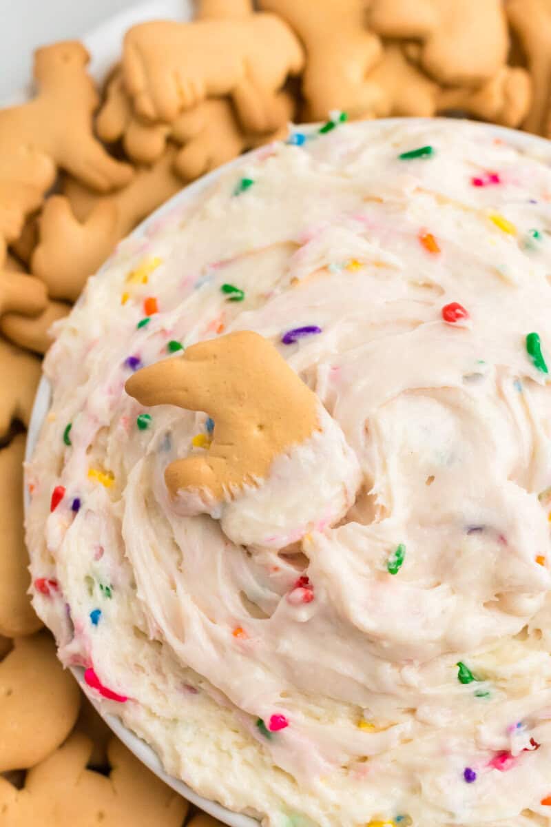 closeup of an animal cracker dipped into the Funfetti Dip.
