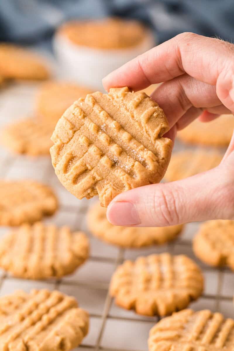 peanut butter cookie in hand closeup.