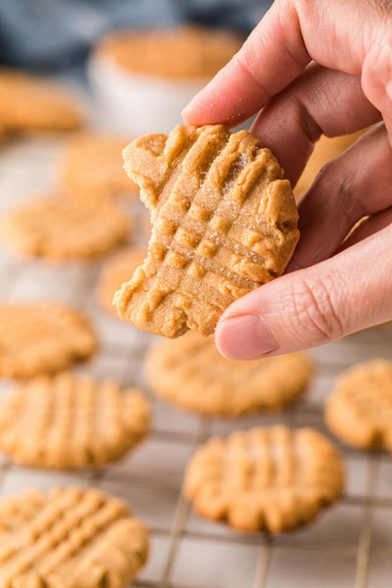 closeup of a peanut butter cookie with a bite taken out of it.
