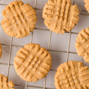 Peanut Butter Cookie