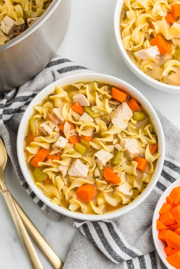 Turkey Noodle Soup