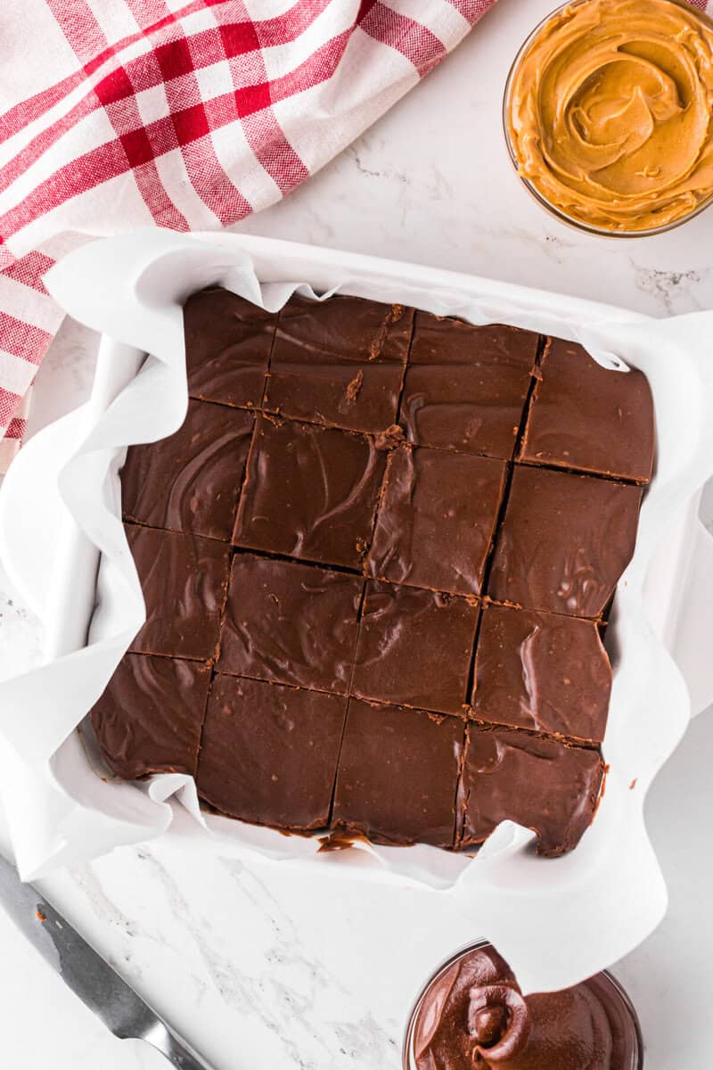 2 ingredient fudge sliced in the dish.
