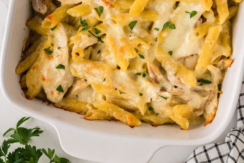 ed chicken alfredo casserole with golden bubbly mozzarella cheese on top