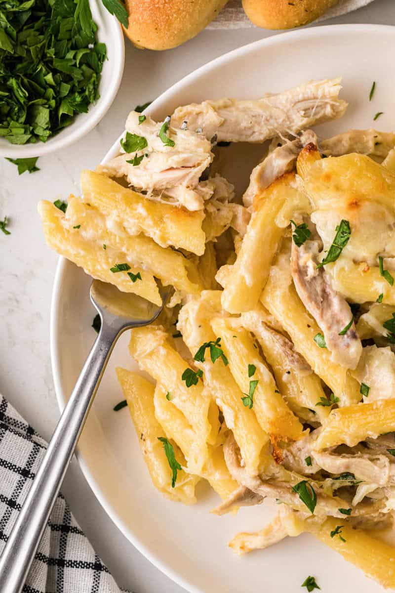 closeup of the chicken alfredo bake on a white plate.