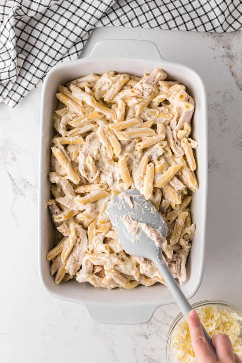spreading the chicken alfredo mixture into a casserole.