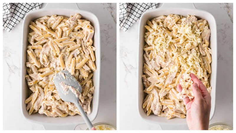 preading chicken alfredo pasta mixture evenly into a 9x13 casserole dish