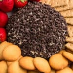 Chocolate Chip Cheese Ball