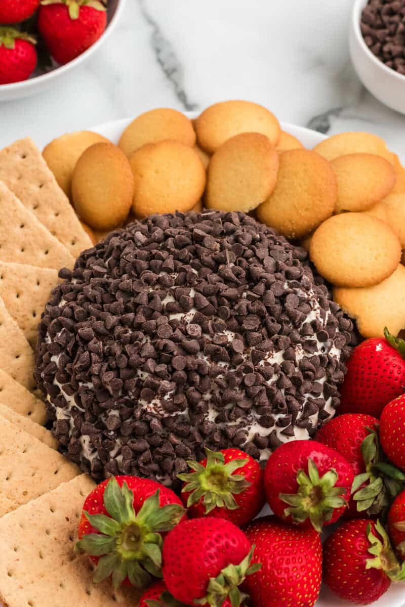 beautiful picture of the chocolate chip cheese ball served with Nilla wafers, graham crackers and strawberries.