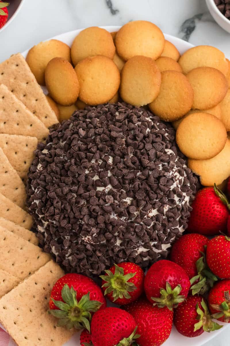 top-down view of the chocolate chip cheeseball surrounded by the dippers.