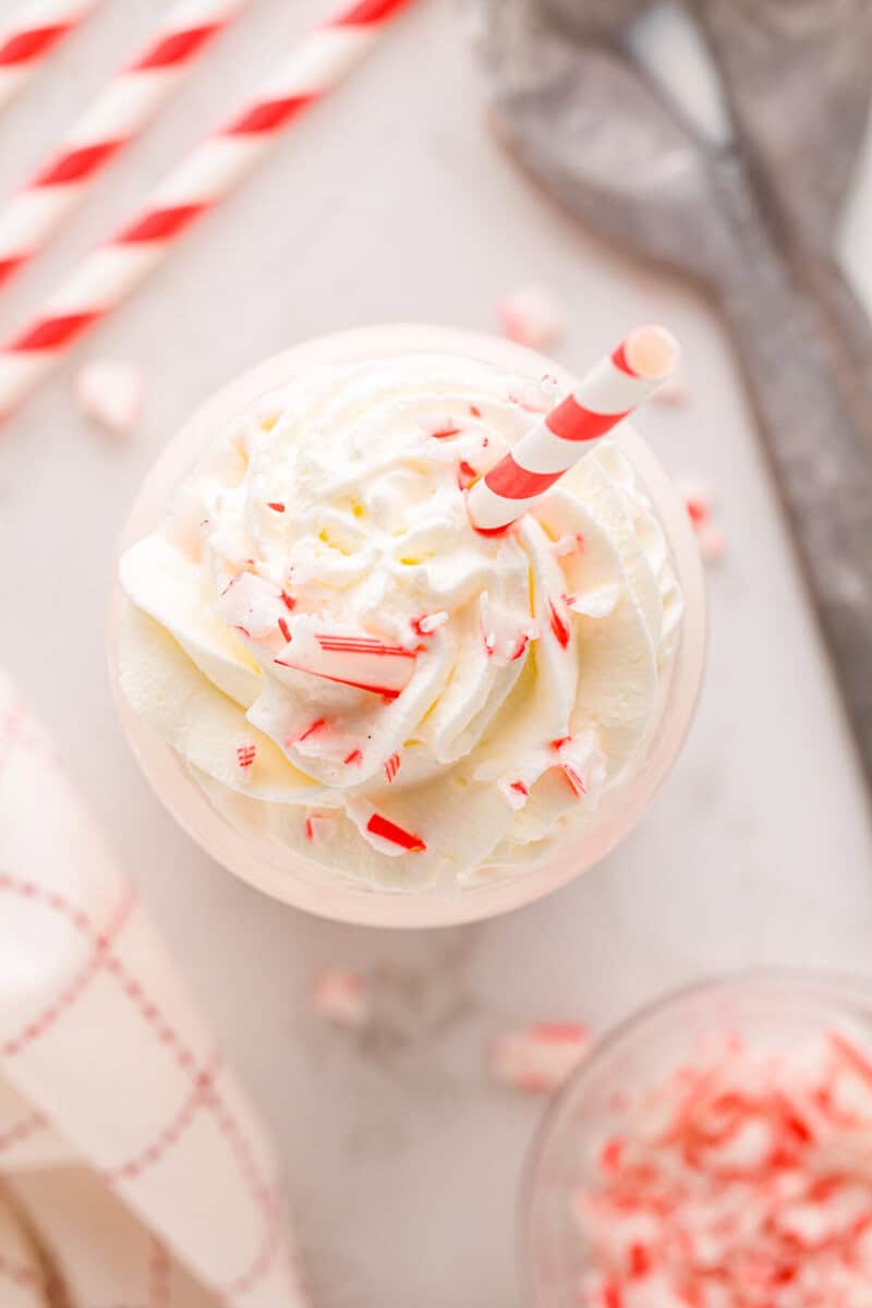 top-down view of the Peppermint Milkshake.