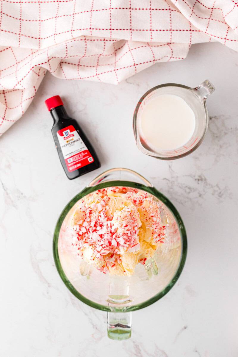 the ingredients for the milkshake in the blender.