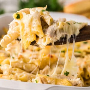 chicken alfredo bake Recipe Card