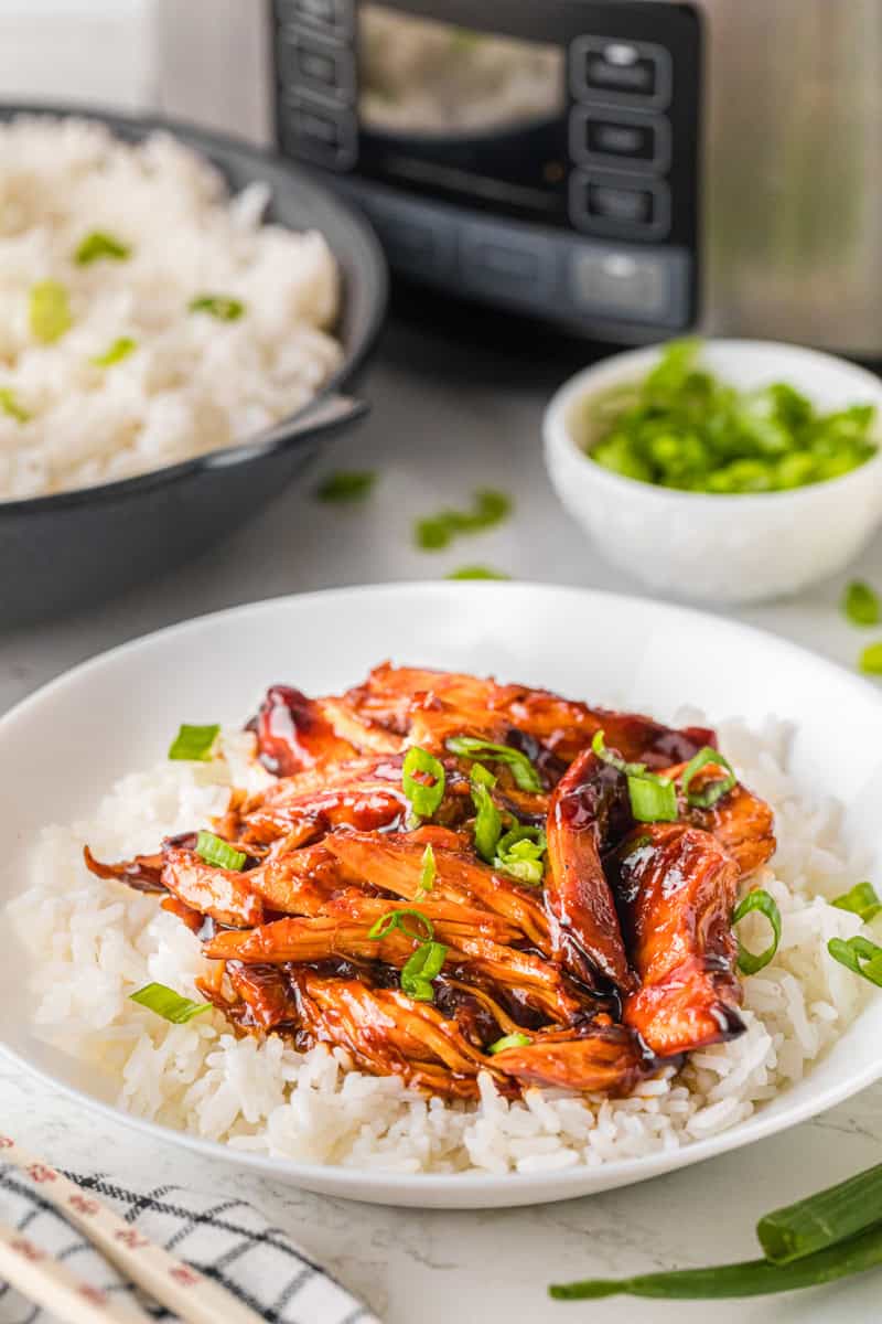 Orange Chicken served on white rice.