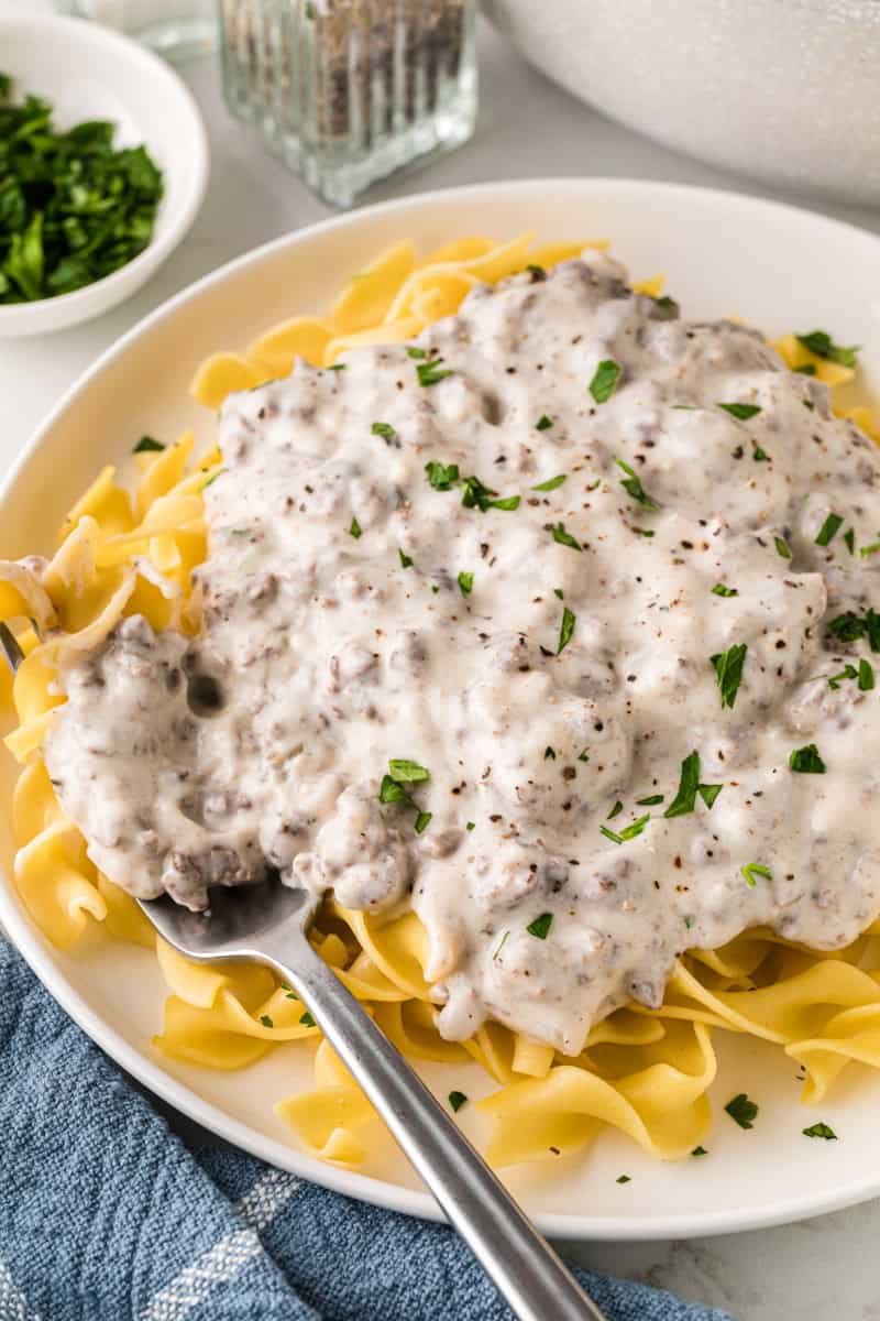closeup of the Beef Stroganoff served on the beef noodles.