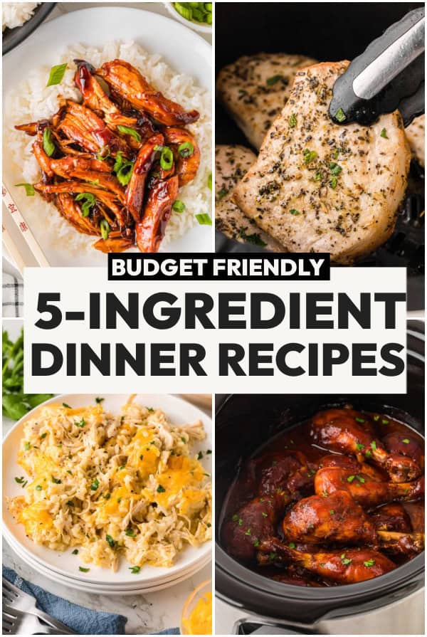 5 Ingredient Recipes