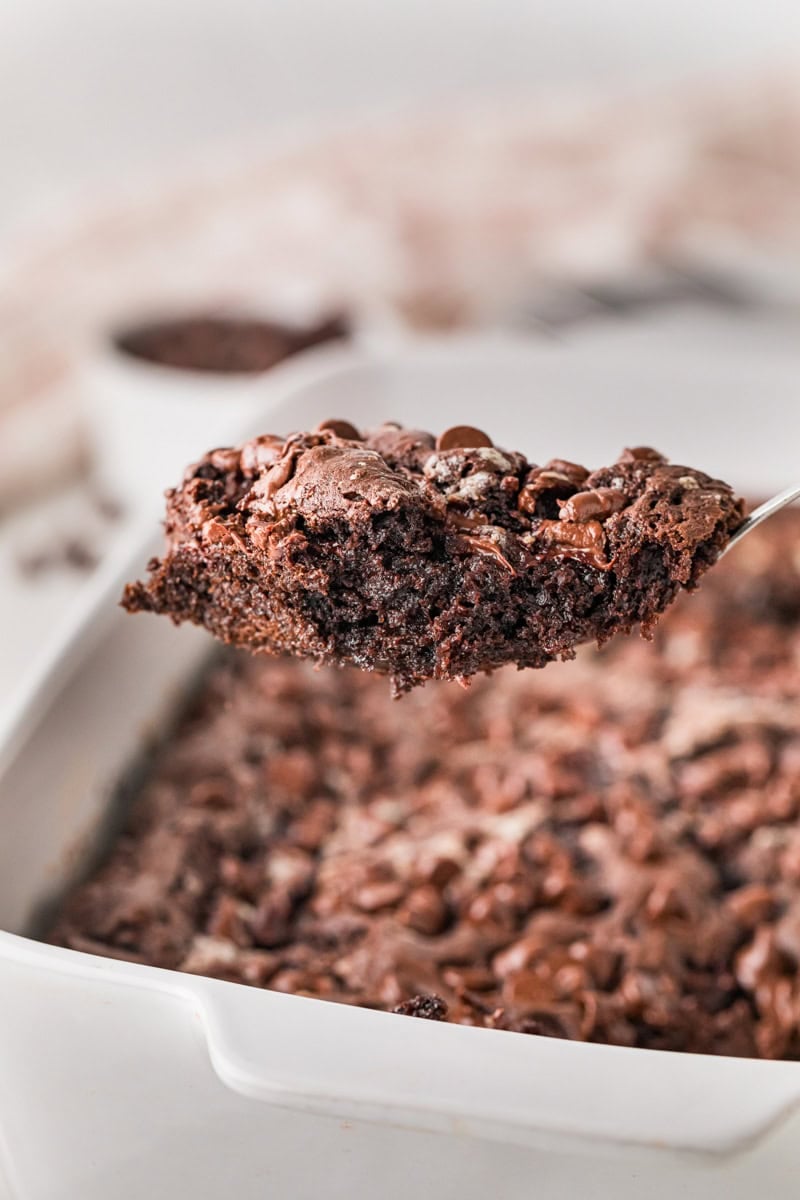 serving a slice of the Chocolate Dump Cake.